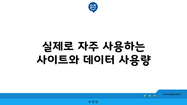 실제로 자주 사용하는 사이트와 데이터 사용량